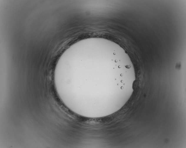 X0000111790756200908131412