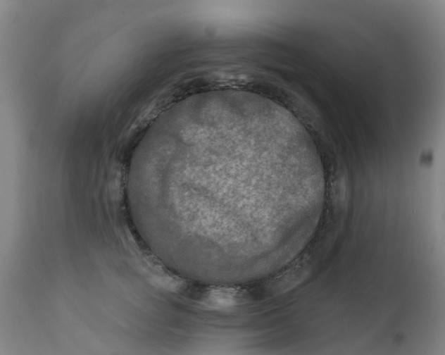 X0000111790757200908131412