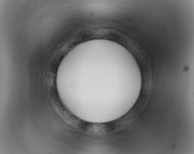 X0000111790758200908131412