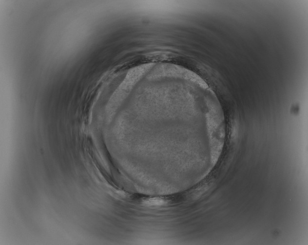 X0000111790759200908131412