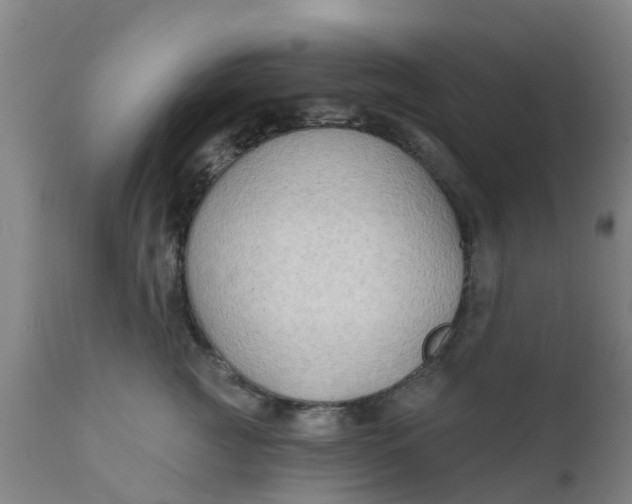 X0000111790761200908131412