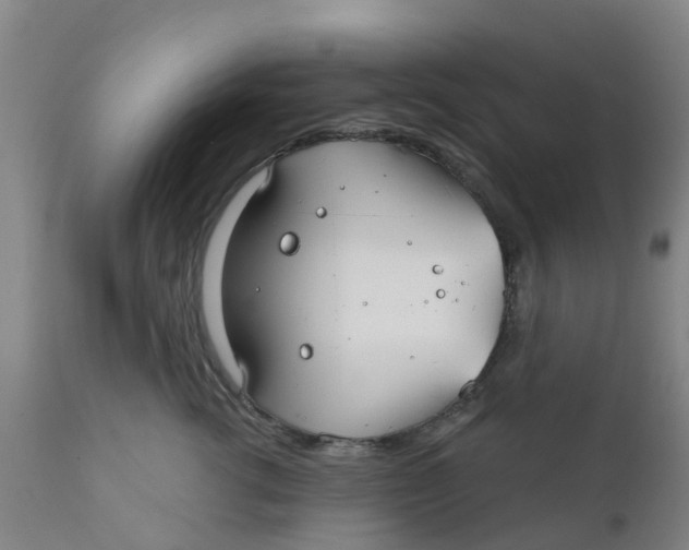 X0000111790762200908131412