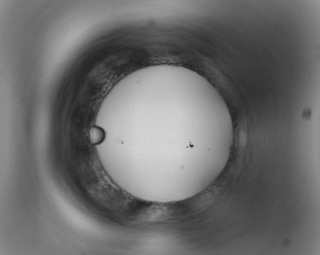 X0000111790764200908131412