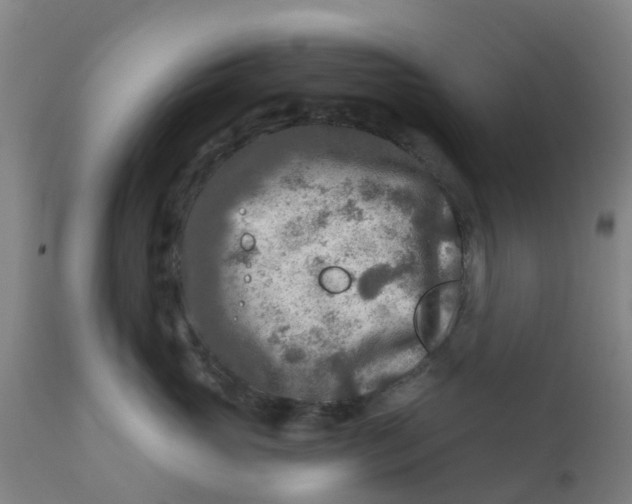 X0000111790765200908131412