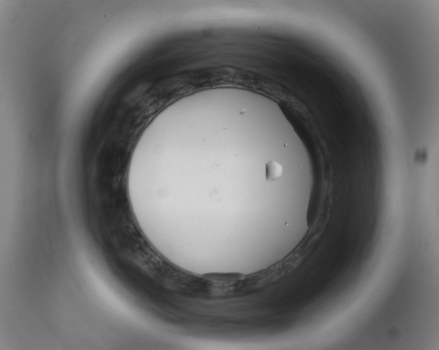 X0000111790766200908131412