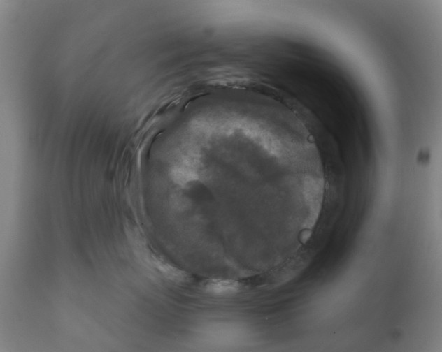 X0000111790767200908131412