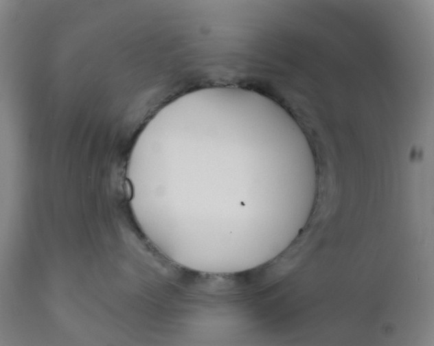 X0000111790768200908131412