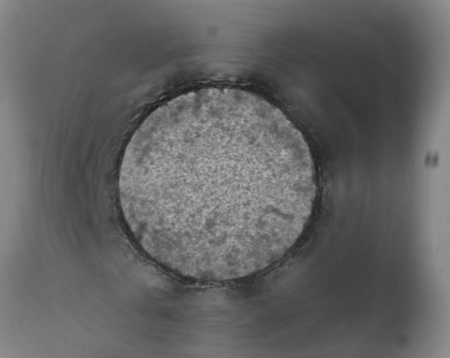 X0000111790769200908131411