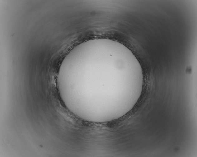 X0000111790770200908131411