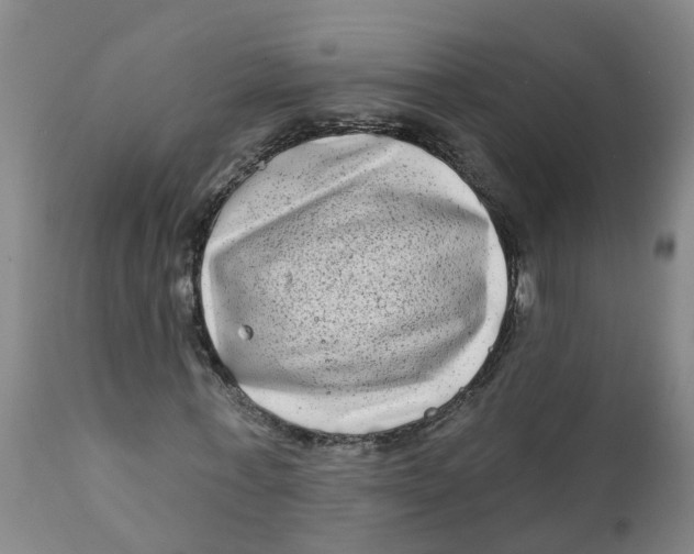 X0000111790771200908131411