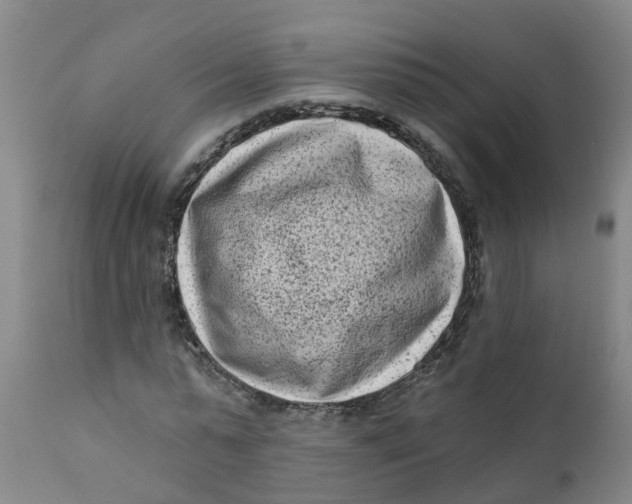 X0000111790775200908131411