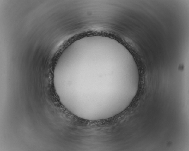 X0000111790776200908131411