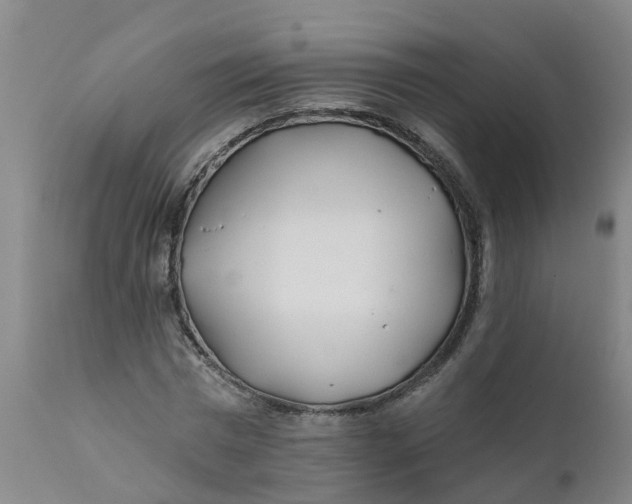 X0000111790777200908131411