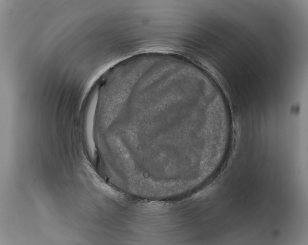 X0000111790779200908131411