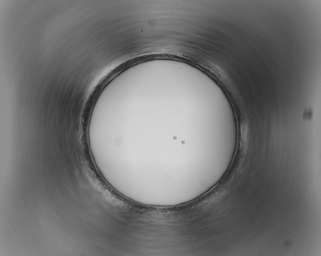 X0000111790780200908131411