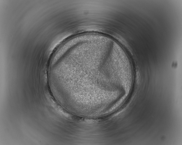 X0000111790782200908131411