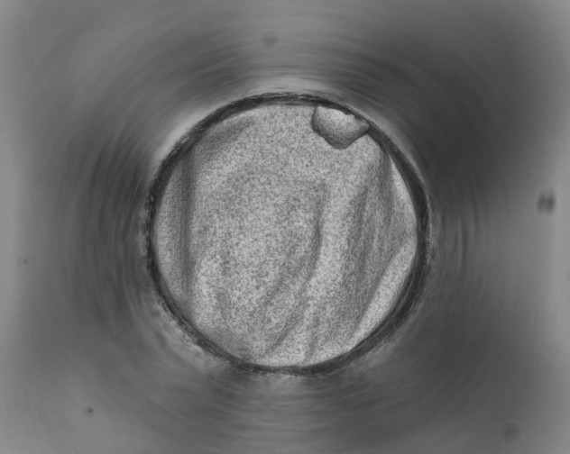 X0000111790783200908131411