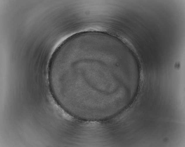 X0000111790784200908131411