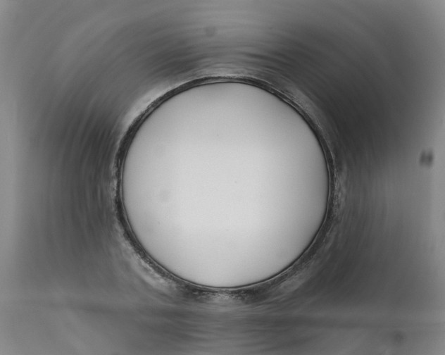 X0000111790787200908131411