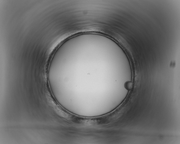 X0000111790789200908131411