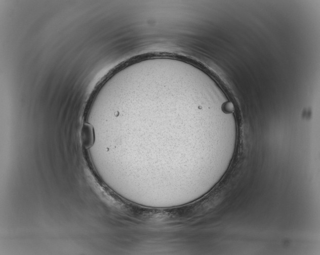 X0000111790791200908131411