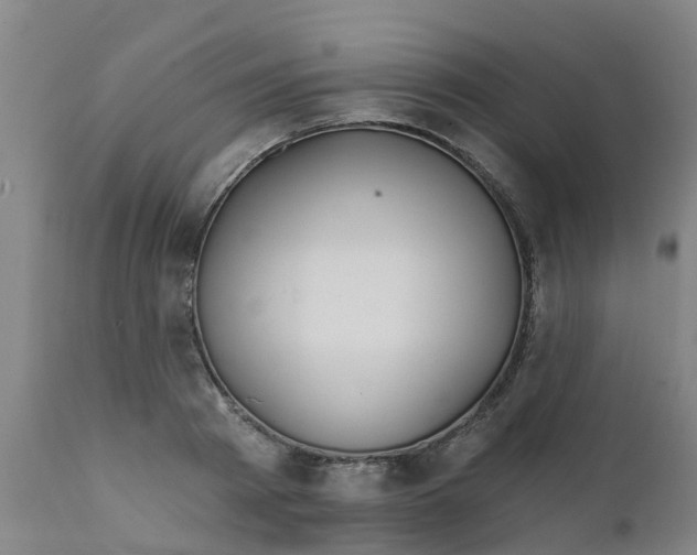 X0000111790793200908131411