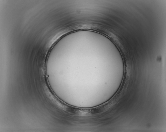 X0000111790794200908131411