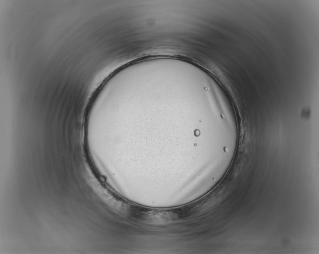 X0000111790795200908131411