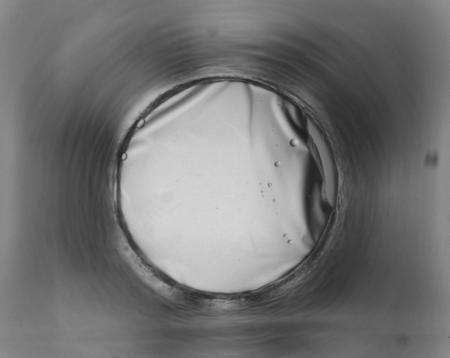 X0000111790796200908131411