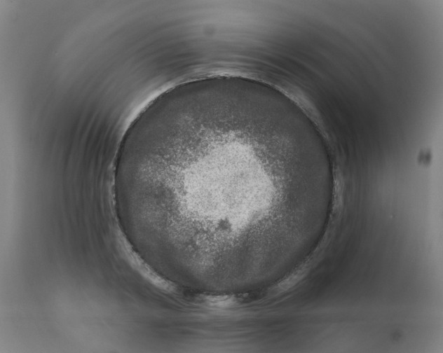 X0000111790798200908131411