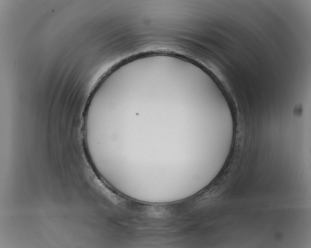 X0000111790799200908131411