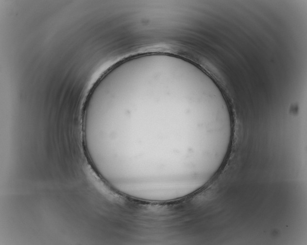 X0000111790800200908131411