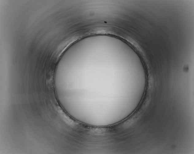 X0000111790801200908131411