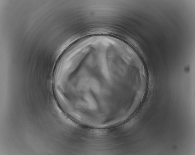 X0000111790802200908131411