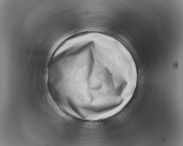 X0000111790804200908131411