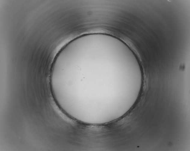 X0000111790805200908131411