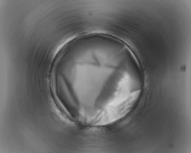 X0000111790806200908131411