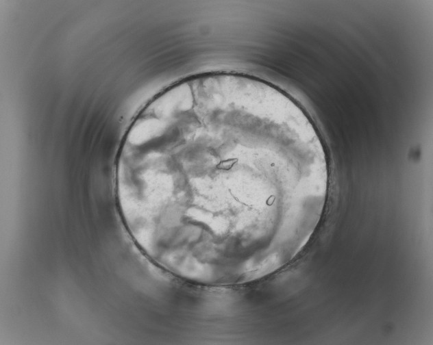 X0000111790807200908131411