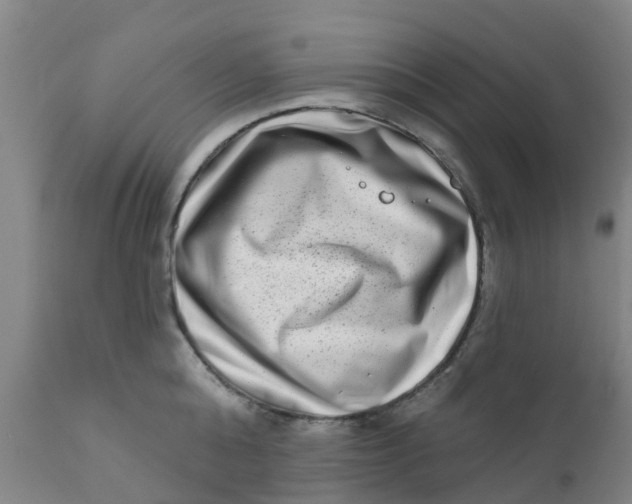 X0000111790808200908131411