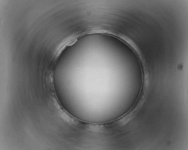 X0000111790809200908131411