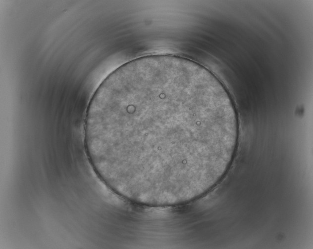 X0000111790810200908131411