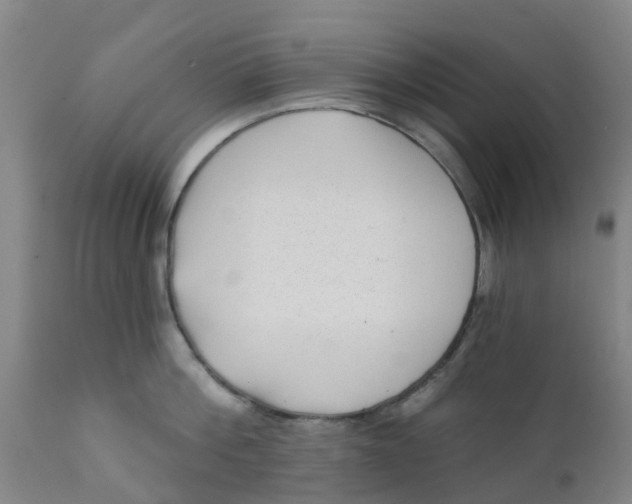 X0000111790812200908131411