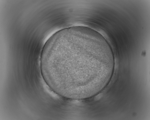 X0000111790814200908131411