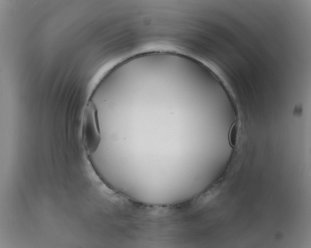 X0000111790815200908131411