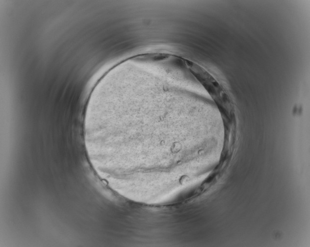 X0000111790816200908131411