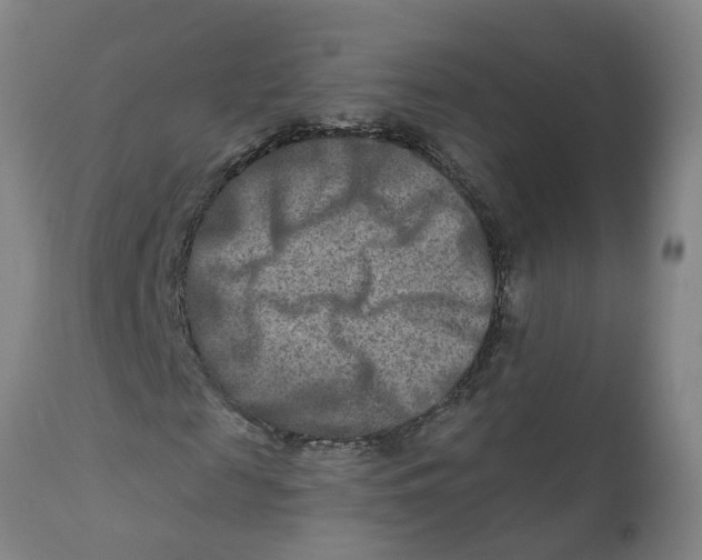 X0000111790817200908131410