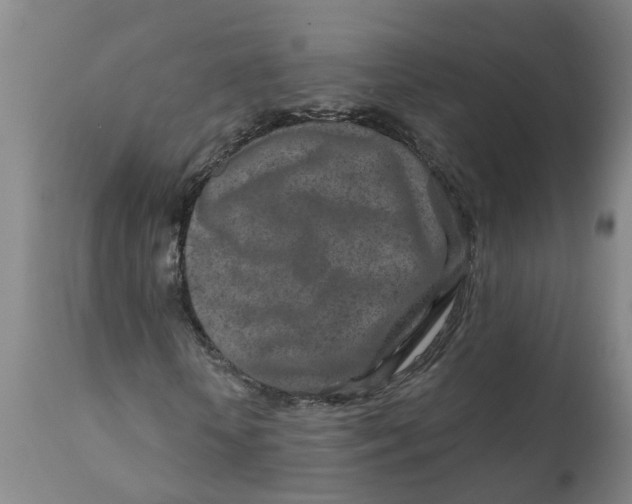 X0000111790818200908131410