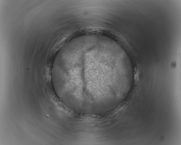 X0000111790819200908131410