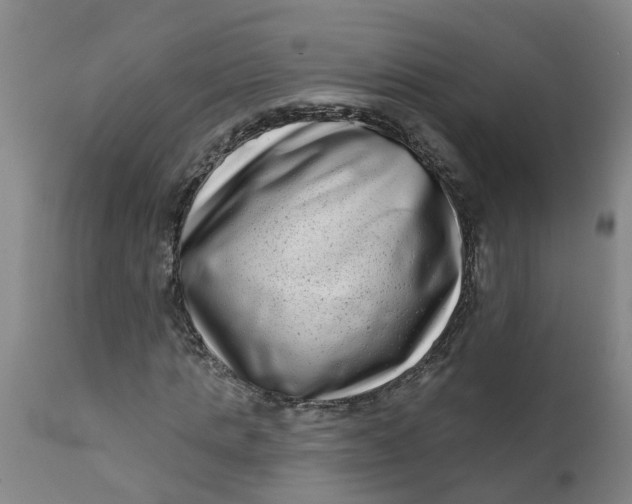 X0000111790821200908131410