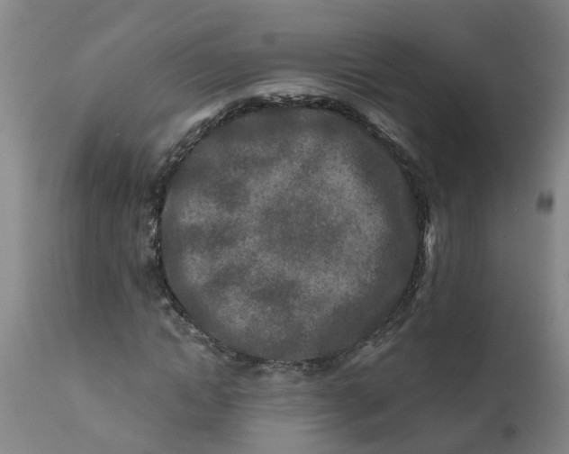 X0000111790822200908131410